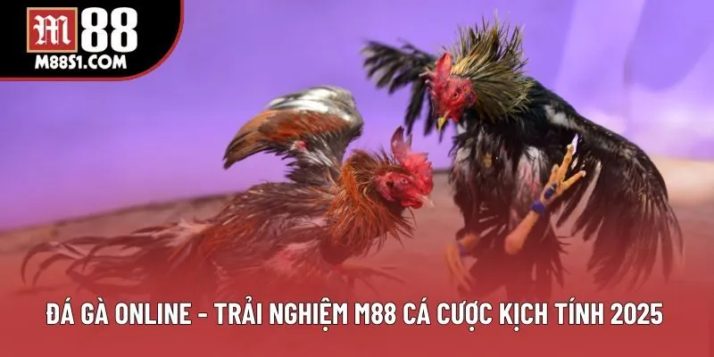 Đá Gà Online - Trải Nghiệm M88 Cá Cược Kịch Tính 2025