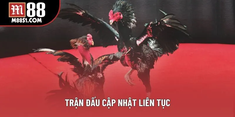 Trận đấu cập nhật liên tục