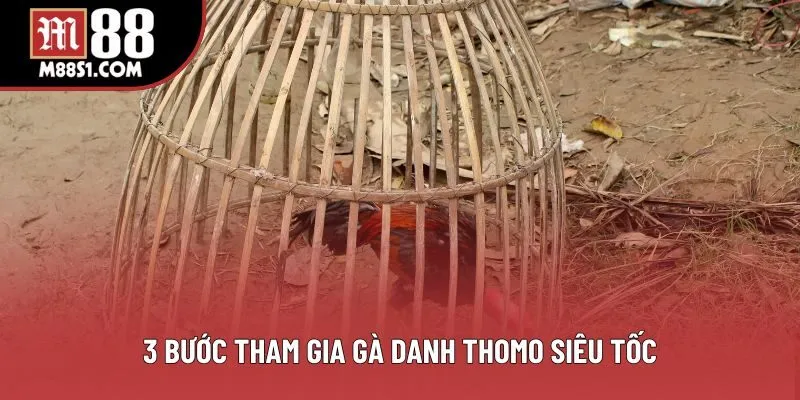 3 bước tham gia gà danh thomo siêu tốc 3 bước tham gia gà danh thomo siêu tốc