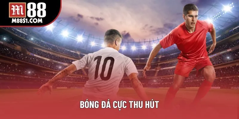 Bóng đá cực thu hút