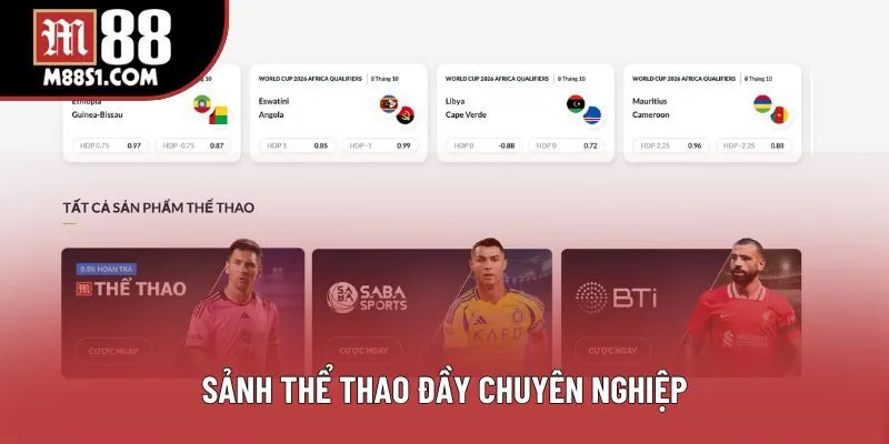 Sảnh thể thao đầy chuyên nghiệp
